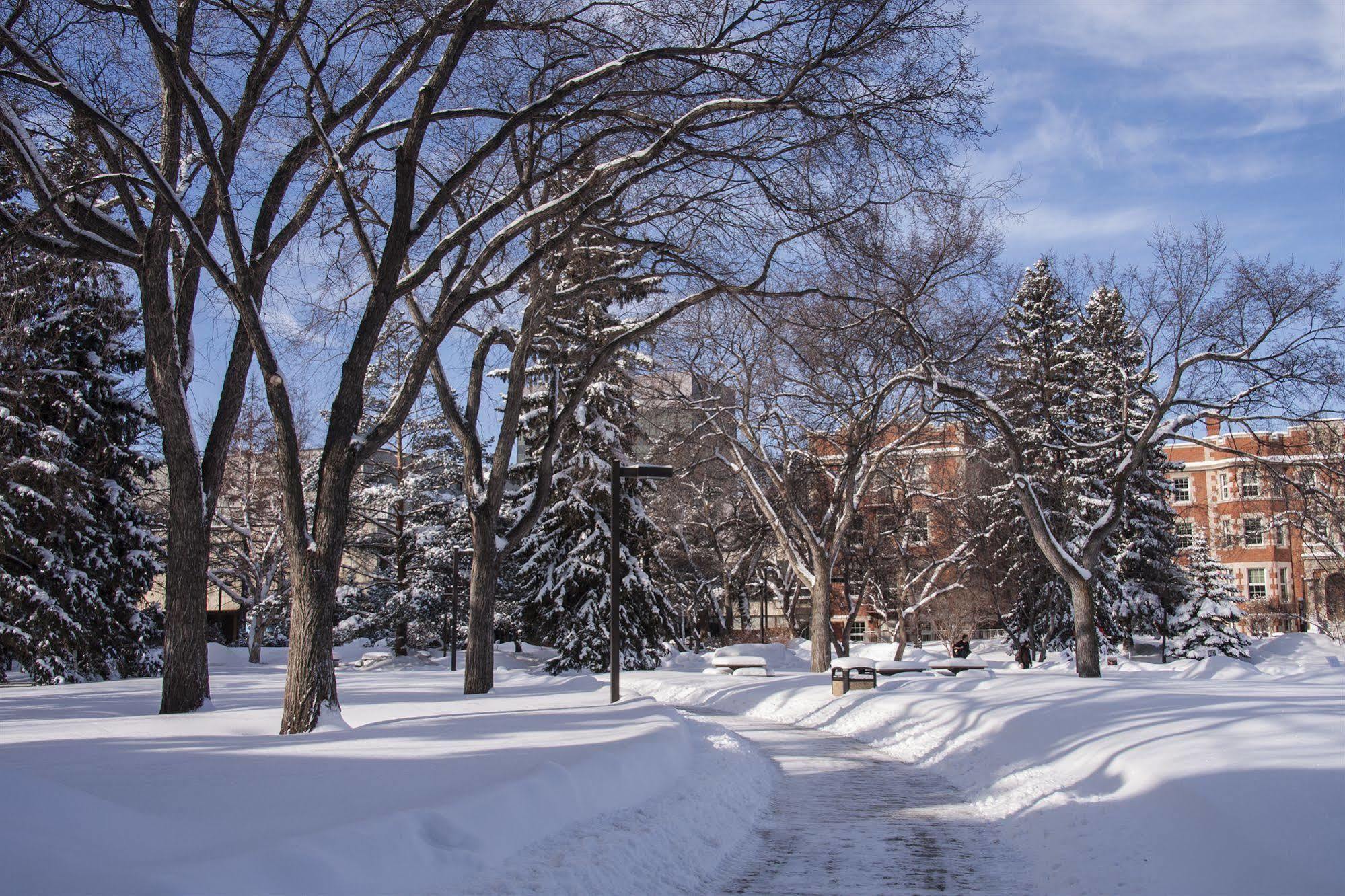 University Of Alberta - Hotel Edmonton Dış mekan fotoğraf